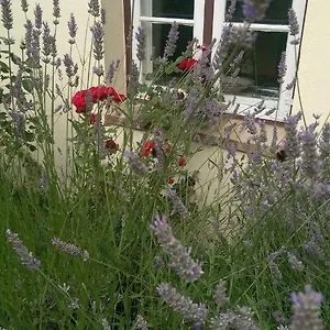 Apartment Im Einhornhaus, Lubeck